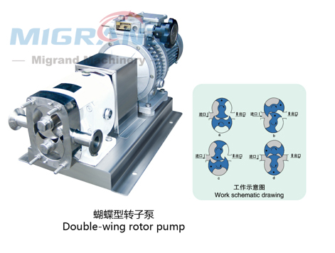 GD-150A Feeding pump (rotor pump)-1 Pompe d'alimentation GD-150A (pompe à rotor)-1