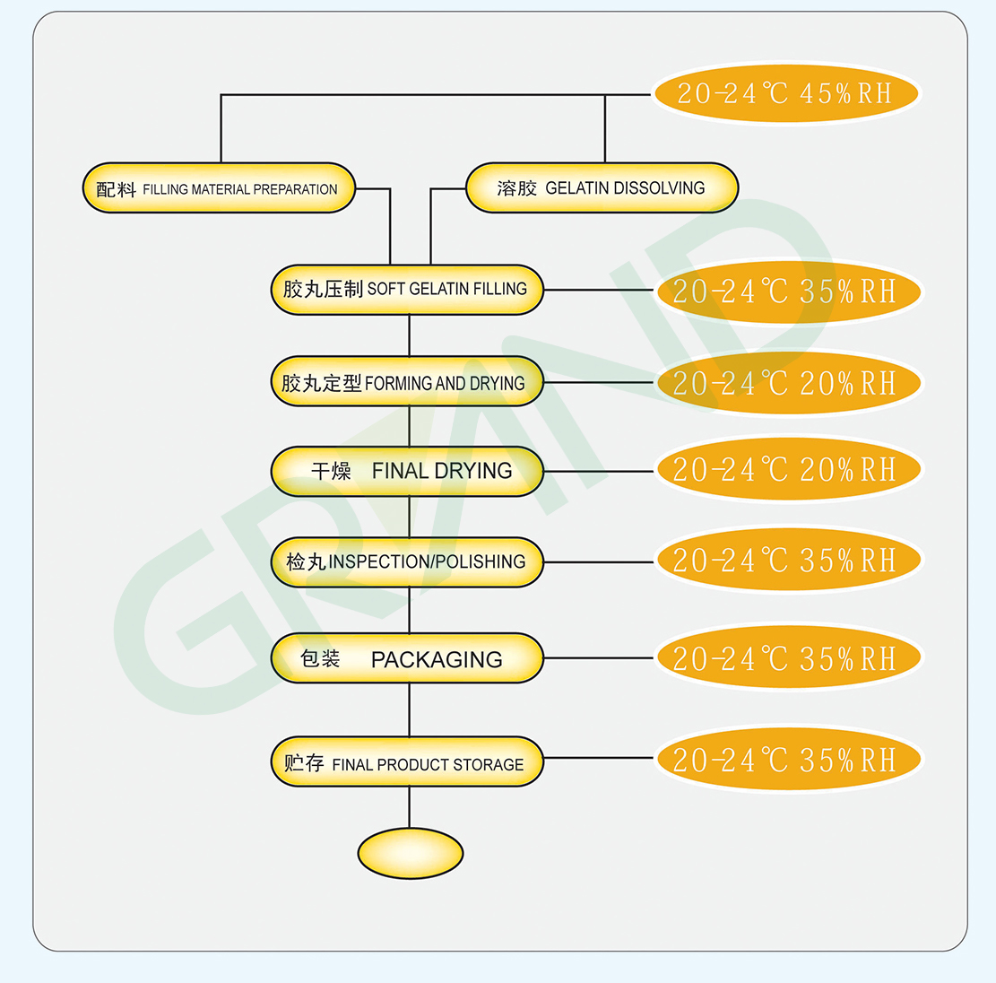 processus de machine d'encapsulation de softgel
